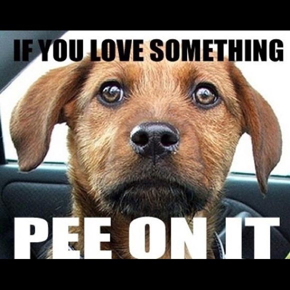 Meet your Posher, Monica - Picture 2 of 6